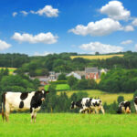 Urlaub auf dem Bauernhof: Ferienlager für Kinder im Berliner Umland